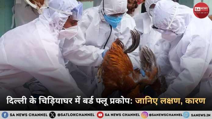 चिड़ियाघर में बर्ड फ्लू प्रकोप