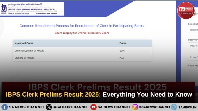 IBPS Clerk Prelims Result 2025: Full Guide, Cut-Off & Next Steps
