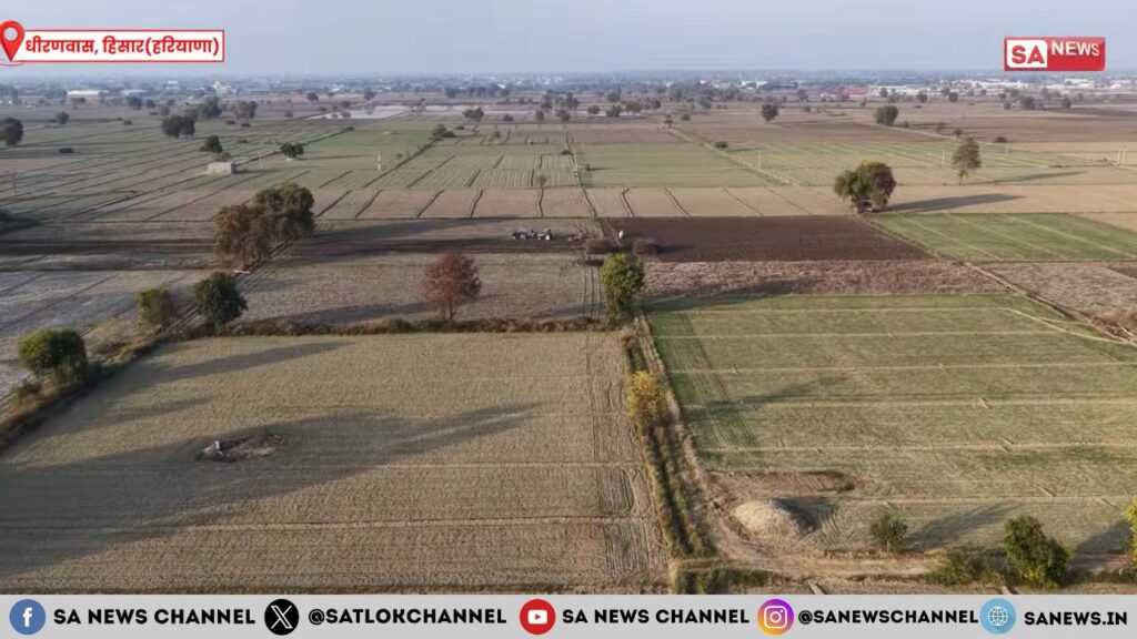 धीरणवास में लौटी हरियाली: संत रामपाल जी महाराज ने हरियाली से भर दिए खेत