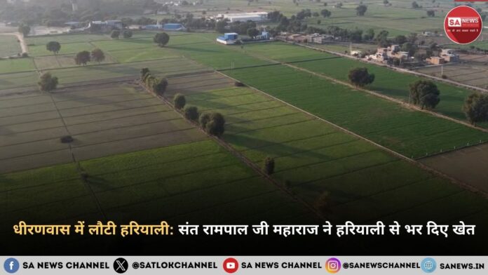 धीरणवास में लौटी हरियाली: संत रामपाल जी महाराज ने हरियाली से भर दिए खेत