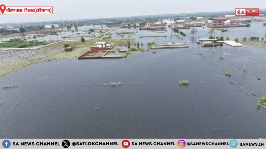 धीरणवास में लौटी हरियाली: संत रामपाल जी महाराज ने हरियाली से भर दिए खेत