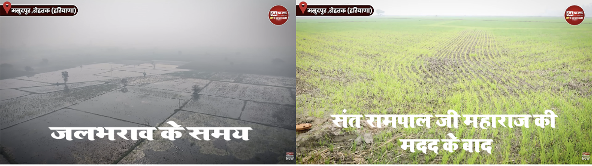 Screenshot 2026 02 12 at 1.40.09 PM