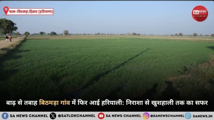 बाढ़ से तबाह बिठमड़ा गांव में फिर आई हरियाली निराशा से खुशहाली तक का सफर