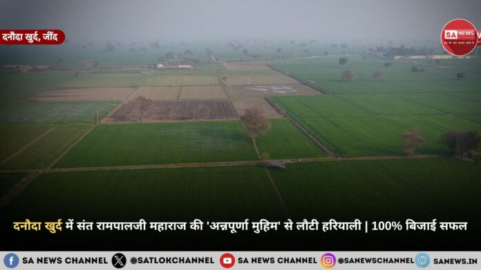 दनौदा खुर्द में संत रामपालजी महाराज की 'अन्नपूर्णा मुहिम' से लौटी हरियाली | 100% बिजाई सफल