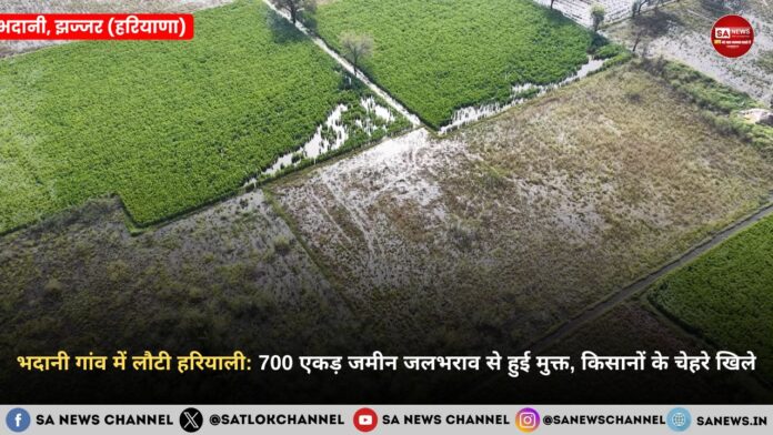 भदानी गांव में लौटी हरियाली: 700 एकड़ जमीन जलभराव से हुई मुक्त, किसानों के चेहरे खिले