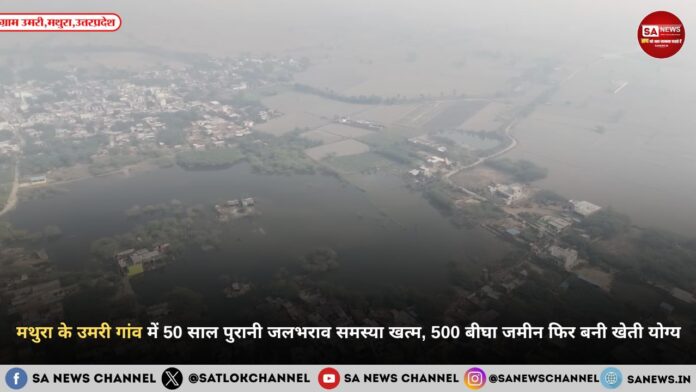 मथुरा के उमरी गांव में 50 साल पुरानी जलभराव समस्या खत्म, 500 बीघा जमीन फिर बनी खेती योग्य