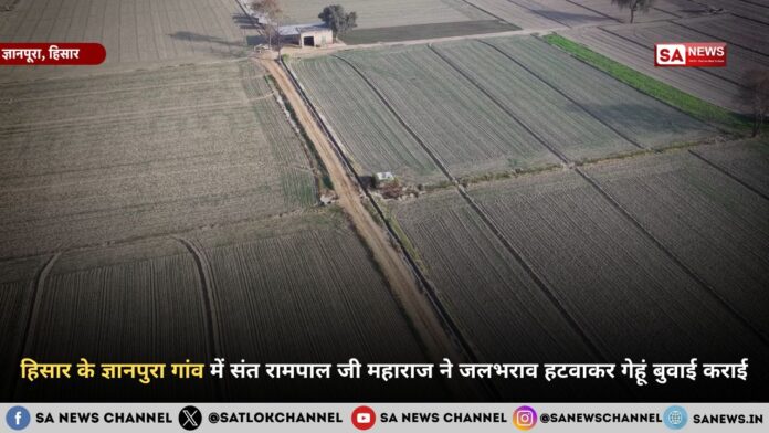 हिसार के ज्ञानपुरा गांव में संत रामपाल जी महाराज ने जलभराव हटवाकर गेहूं बुवाई कराई