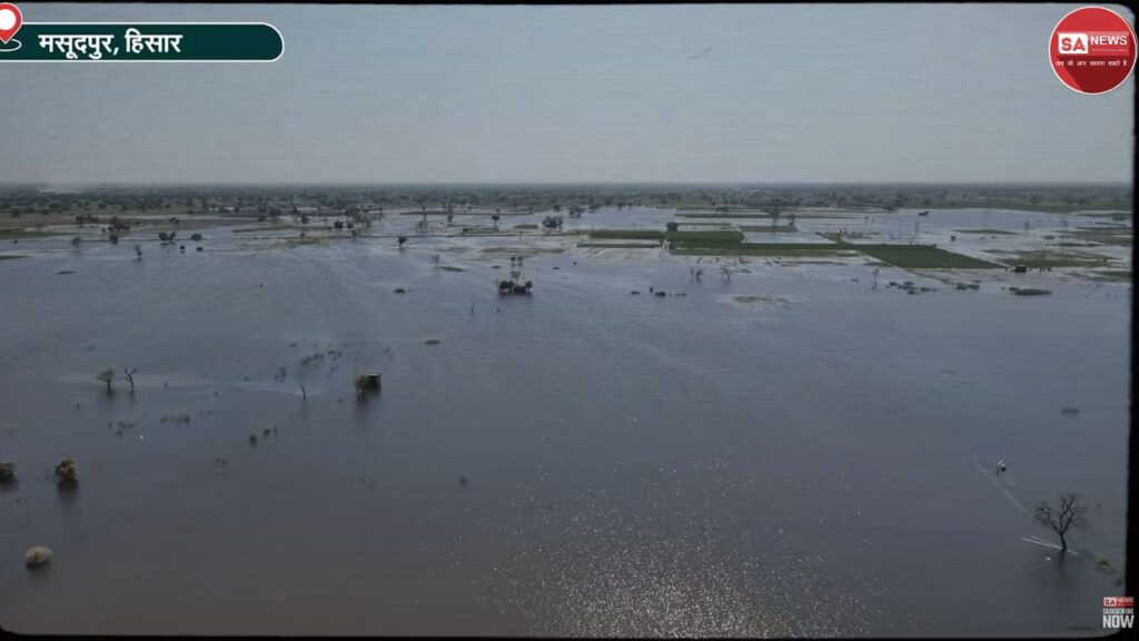 हिसार के बाढ़ प्रभावित मसूदपुर में राहत के बाद खेत फिर आबाद