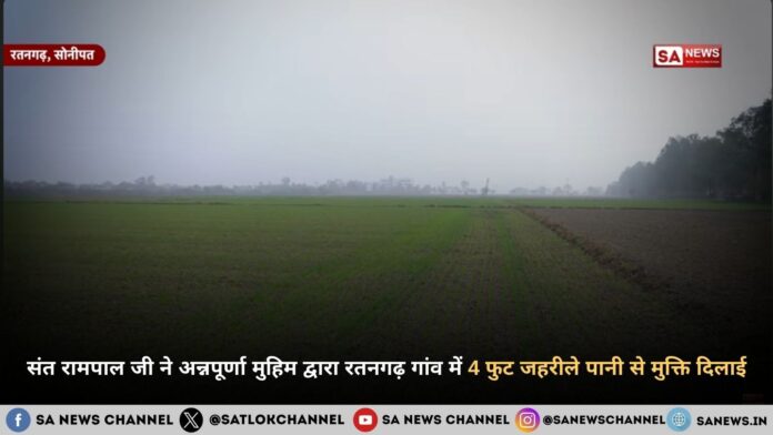 crop-sowing-in-ratangarh-village-sonipat hindi