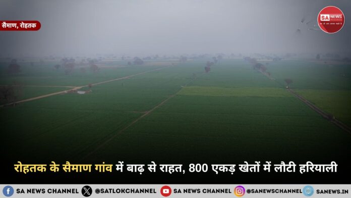 रोहतक के सैमाण गांव में बाढ़ से राहत, 800 एकड़ खेतों में लौटी हरियाली