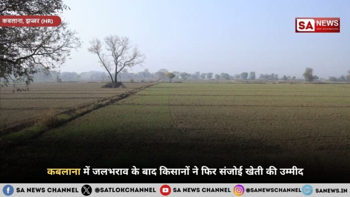 कबलाना में जलभराव के बाद किसानों ने फिर संजोई खेती की उम्मीद