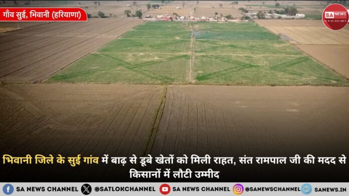 भिवानी जिले के सुई गांव में बाढ़ से डूबे खेतों को मिली राहत, संत रामपाल जी की मदद से किसानों में लौटी उम्मीद