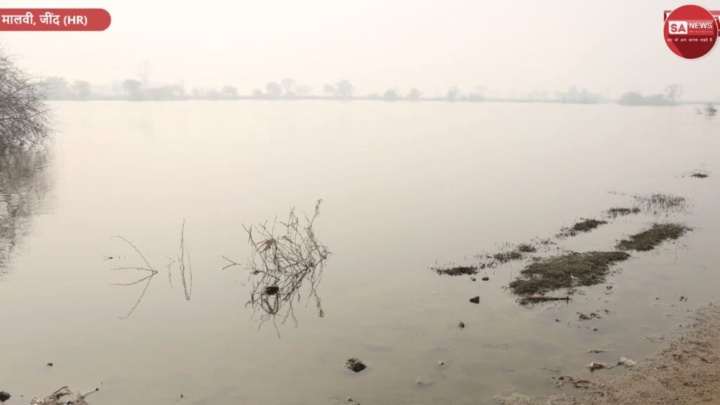 मालवी गाँव में बाढ़ के बीच राहत: संत रामपाल जी महाराज की अन्नपूर्णा मुहिम से बदली तक़दीर