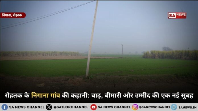 रोहतक के निगाना गांव की कहानी: बाढ़, बीमारी और उम्मीद की एक नई सुबह