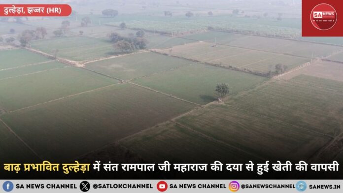 बाढ़ प्रभावित दुल्हेड़ा में संत रामपाल जी महाराज की दया से हुई खेती की वापसी
