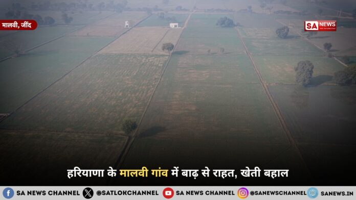हरियाणा के मालवी गांव में बाढ़ से राहत, खेती बहाल