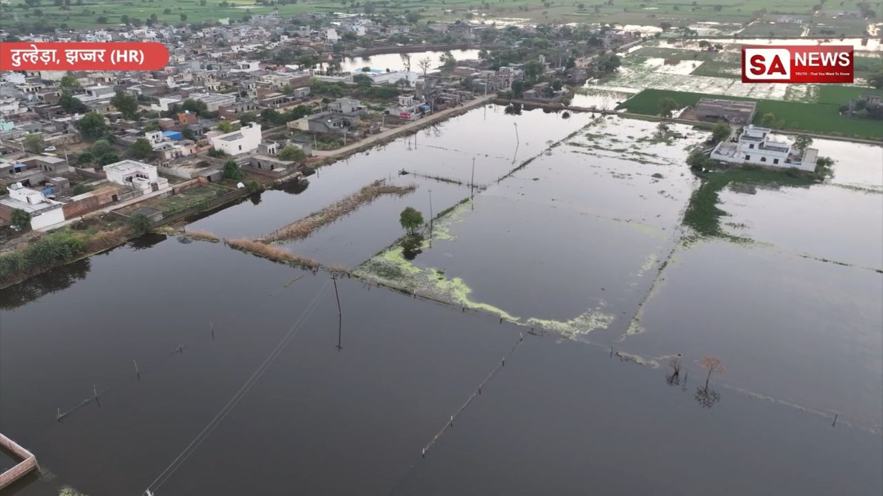 Flood-hit Dulhera village sees farming revival
