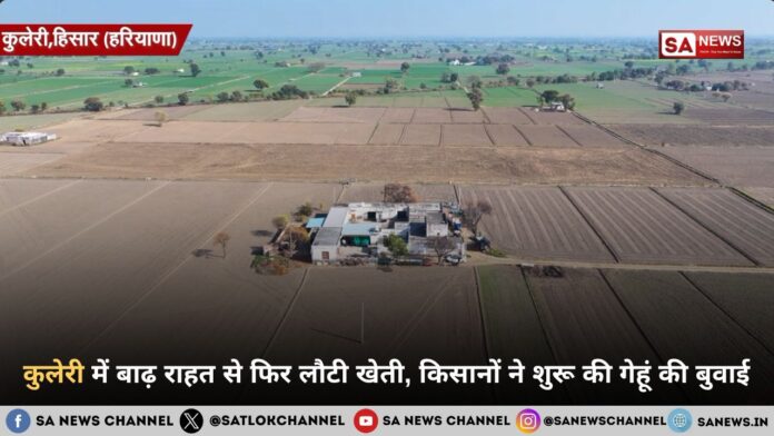 कुलेरी बाढ़ राहत: महीनों के जलभराव के बाद हिसार के किसानों ने 600 एकड़ में फिर शुरू की खेती