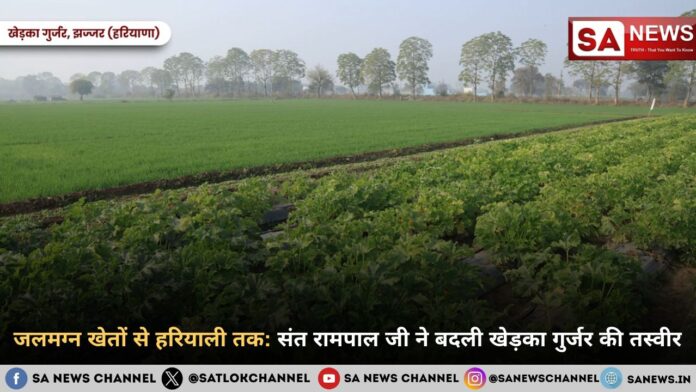 जलमग्न खेतों से हरियाली तक संत रामपाल जी ने बदली खेड़का गुर्जर की तस्वीर
