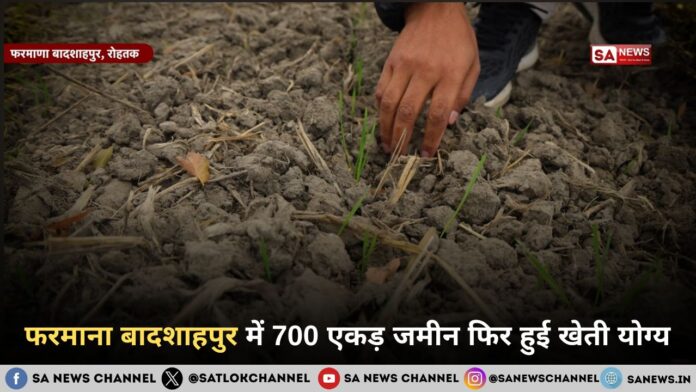 जलभराव से हरियाली तक: फरमाना बादशाहपुर के परिवर्तन की प्रेरणादायक कहानी