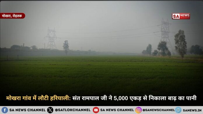 मोखरा गांव में लौटी हरियाली: संत रामपाल जी महाराज ने 5,000 एकड़ से निकाला बाढ़ का पानी