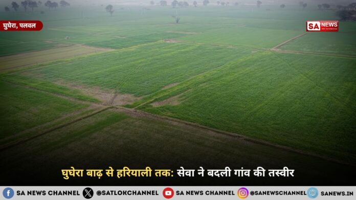 घुघेरा बाढ़ से हरियाली तक: सेवा ने बदली गांव की तस्वीर