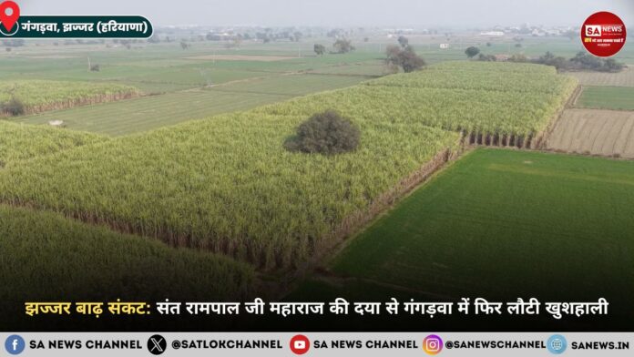 झज्जर बाढ़ संकट: संत रामपाल जी महाराज की दया से गंगड़वा में फिर लौटी खुशहाली