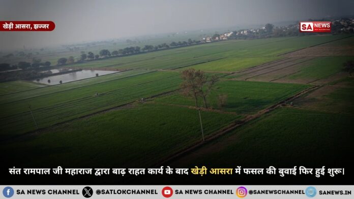 संत रामपाल जी महाराज द्वारा बाढ़ राहत कार्य के बाद खेड़ी आसरा में फसल की बुवाई फिर हुई शुरू।