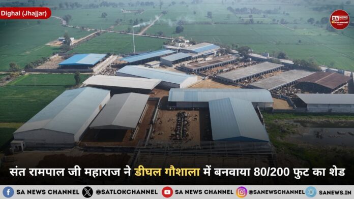 संत रामपाल जी महाराज ने डीघल गौशाला में बनवाया 80/200 फुट का शेड