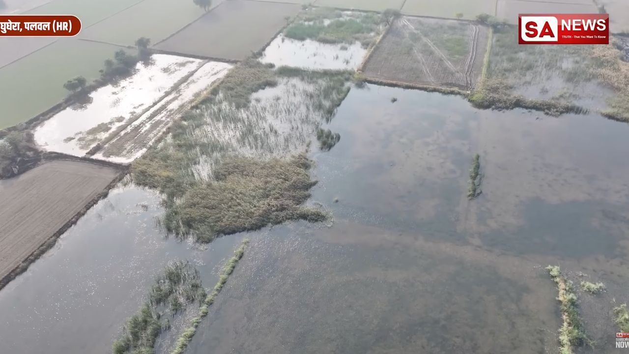 From Ghughra Flood to Green Fields: Service Transforms Village