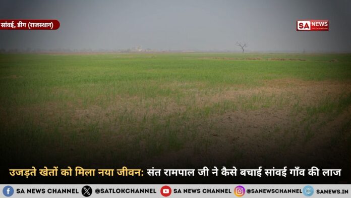 उजड़ते खेतों को मिला नया जीवन: संत रामपाल जी महाराज ने कैसे बचाई सांवई गाँव की लाज