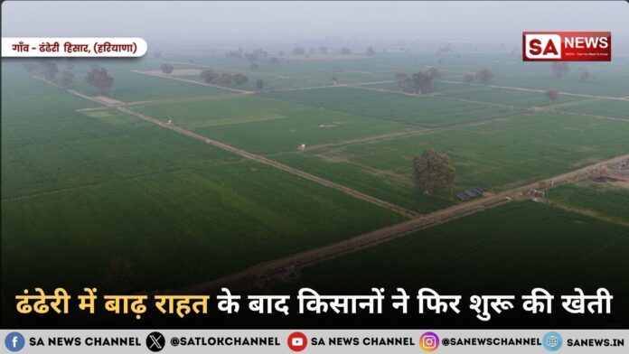 ढंढेरी में बाढ़ राहत के बाद किसानों ने फिर शुरू की खेती
