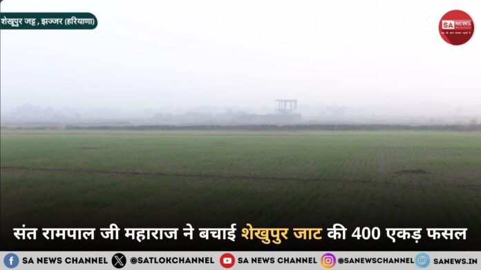 संत रामपाल जी महाराज ने बचाई शेखुपुर जाट की 400 एकड़ फसल