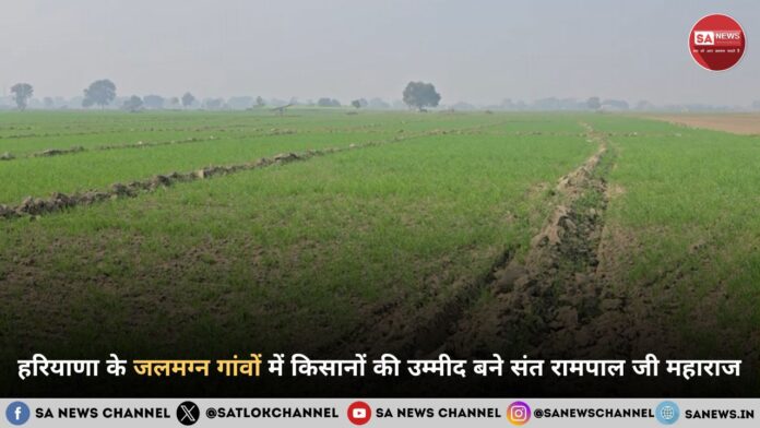 हरियाणा के जलमग्न गांवों में किसानों की उम्मीद बने संत रामपाल जी महाराज