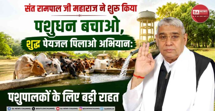 पशुधन बचाओ, शुद्ध पेयजल पिलाओ अभियान: संत रामपाल जी महाराज की अपार दया से हरियाणा के गांवों में लौट रही खुशहाली
