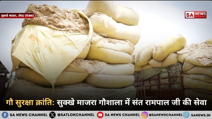 गौ रक्षा क्रांति: सुक्खे माजरा गौशाला में संत रामपाल जी की सेवा