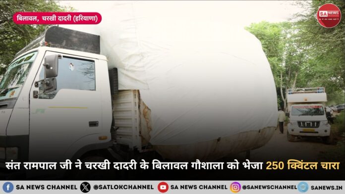 संत रामपाल जी महाराज द्वारा चरखी दादरी के बिलावल गाँव की गौशाला हेतु 250 क्विंटल चारा प्रेषित