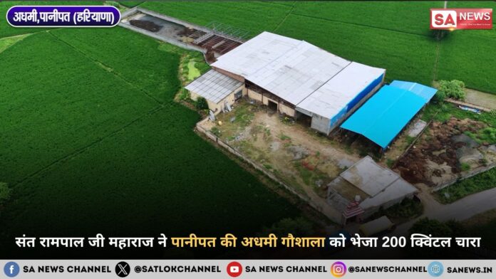 संत रामपाल जी महाराज ने पानीपत के अधमी गौशाला को भेजा 200 क्विंटल चारा