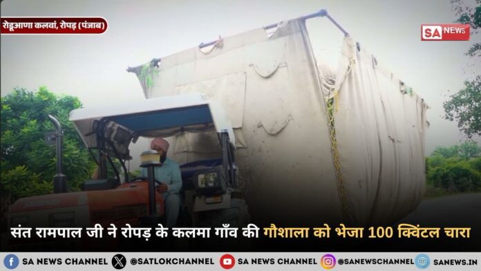संत रामपाल जी महाराज ने रोपड़ के कलमा गाँव की गौशाला को भेजा 100 क्विंटल चारा