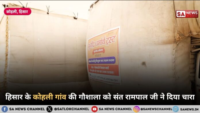 हिसार के कोहली गांव की गौशाला को संत रामपाल जी ने दिया चारा