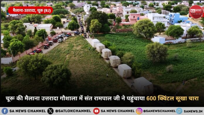 चूरू की मैलाना उत्तरादा गौशाला में संत रामपाल जी महाराज ने पहुंचाया 600 क्विंटल सूखा चारा