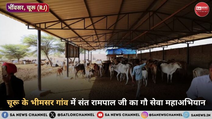 चूरू के भीमसर गांव में संत रामपाल जी महाराज का गौ सेवा महाअभियान