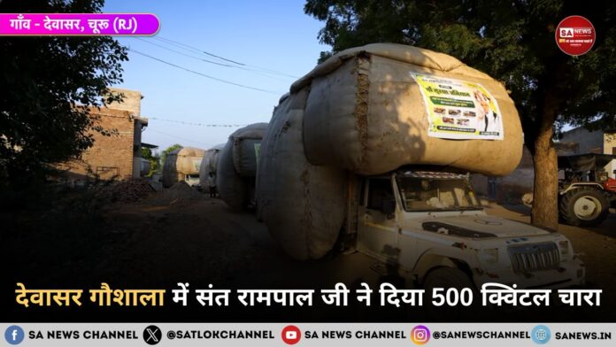 देवासर गौशाला में संत रामपाल जी ने दिया 500 क्विंटल चारा