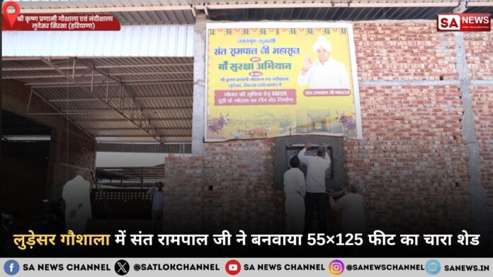 लुड़ेसर गौशाला में संत रामपाल जी ने बनवाया 55×125 फीट का चारा शेड