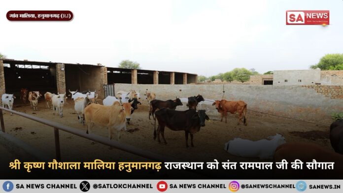 श्री कृष्ण गौशाला मालिया हनुमानगढ़ राजस्थान को संत रामपाल जी महाराज की सौगात
