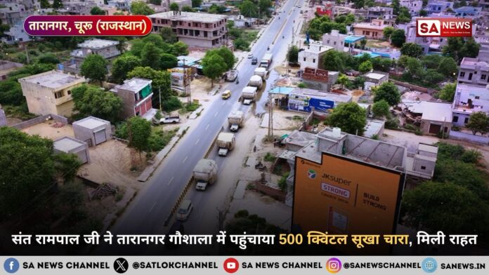 संत रामपाल जी महाराज ने तारानगर गौशाला में पहुंचाया 500 क्विंटल सूखा चारा, मिली राहत