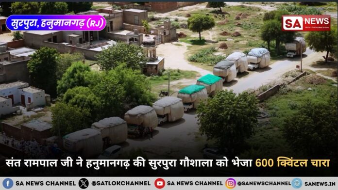 संत रामपाल जी महाराज ने हनुमानगढ़ की सुरपुरा गौशाला को भेजा 600 क्विंटल चारा