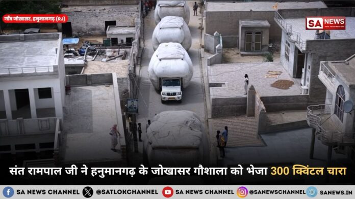 संत रामपाल जी महाराज ने हनुमानगढ़ के जोखासर गौशाला को भेजा 300 क्विंटल चारा