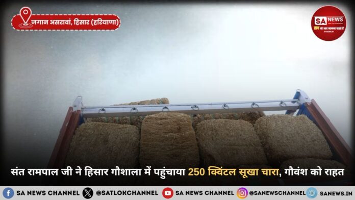 संत रामपाल जी महाराज ने हिसार गौशाला में पहुंचाया 250 क्विंटल सूखा चारा, गौवंश को राहत
