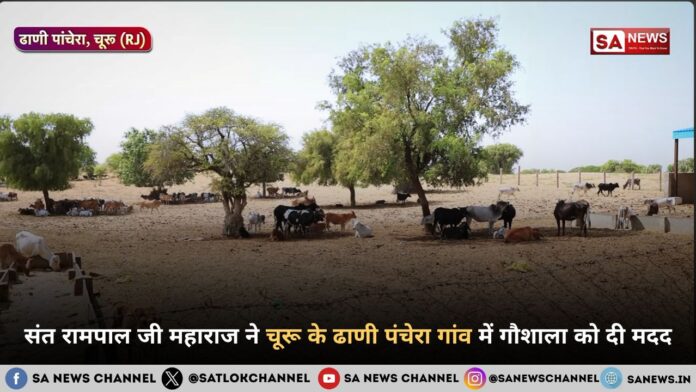 संत रामपाल जी महाराज ने चूरू के ढाणी पंचेरा गांव में गौशाला को दी मदद